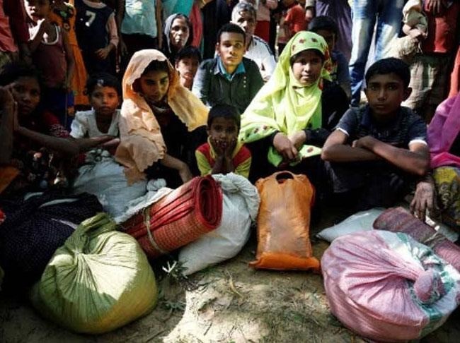 More Than 500,000 Rohingya Enter Bangladesh: UN