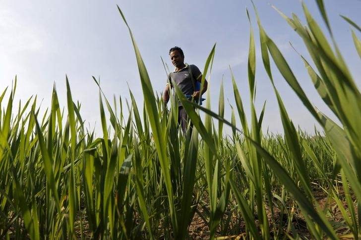 Odisha Plea To Centre For Raise In Input Subsidy For Farmers