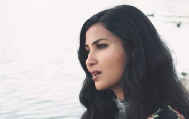 Great To Be An Indian In The US Right Now: YouTube Star Vidya Vox