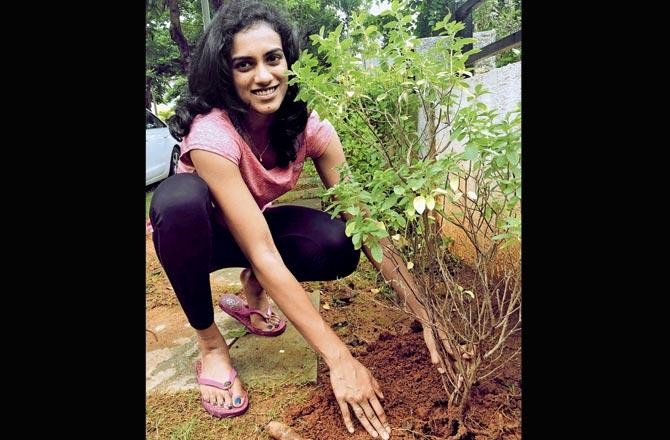 PV Sindhu Takes the Green Challenge which was given by V.V.S Laxman..!!