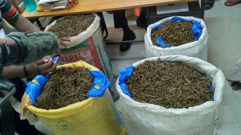 Two Members of Notorious 'Thak-Thak' Gang Caught in Noida with 4 Kg Ganja