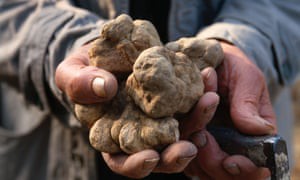 Australia is shaking up the truffle market