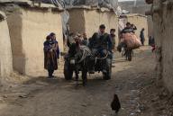 Lockdown imposed in Kabul due to hike in COVID-19 cases