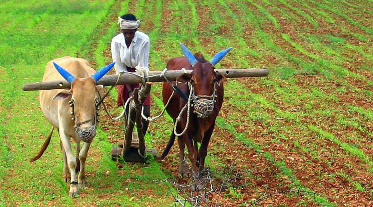 Telugu farmers stare at major crisis amid lockdown