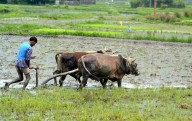 Tipplers seek status of par with farmers