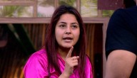 Bigg Boss 13: Shehnaz's dad has no issues if she bonds with Sidharth