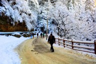 Fresh snowfall in Kashmir breaks cold spell