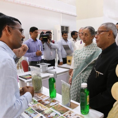 This Raj farmer created a new fennel variety through crop engineering