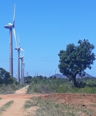 Wind energy could help India add 23.7 GW of clean capacity by 2026: Outlook