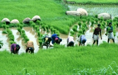 Paddy farmers in TN worried over revoking free power