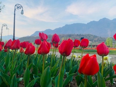 Dry, partly cloudy weather likely in J&K: MeT deptt