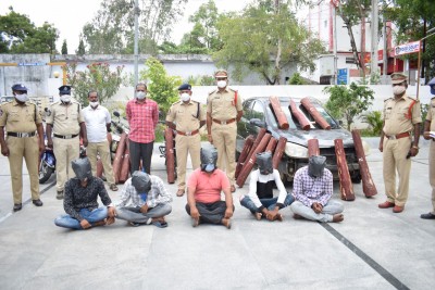 Andhra police arrest 5 people, seize 20 red sanders logs