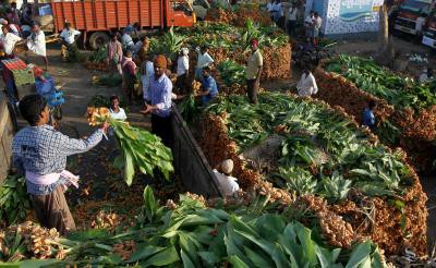 Vegetable prices in TN unlikely to fall till Pongal: Traders