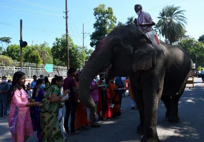 TN govt brings out SOP for care of temple elephants