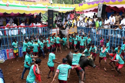 Spectator gored to death by bull at Jallikattu event in TN