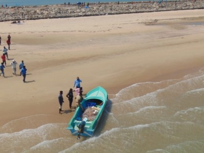 Eight more Sri Lankan refugees land at TN's Dhanushkodi