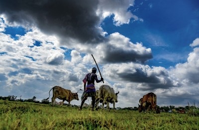 Rain scarcity posing threat to crop production in Bengal