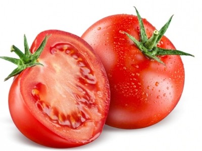 Tomato emerges one of major off-season cash crops in Himachal