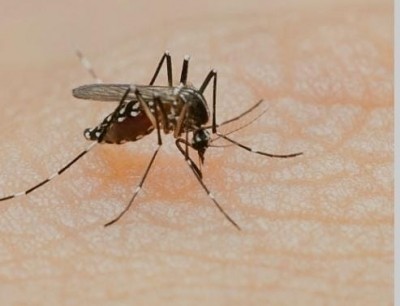 Delhi records 32 dengue cases in June, total tally 143