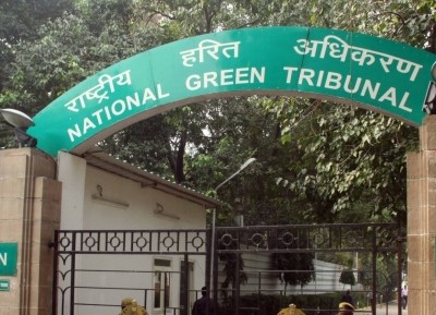 NGT asks panel to check water of Kota pond where 'croc deaths' reported