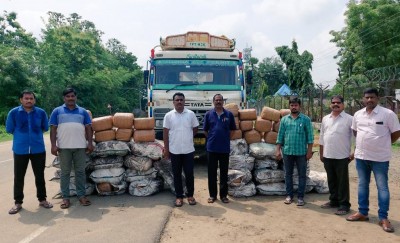 Andhra police seize 870 kg marijuana being moved on coal truck