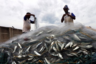 Fishermen to meet TN CM over Indian Marine Fisheries Bill