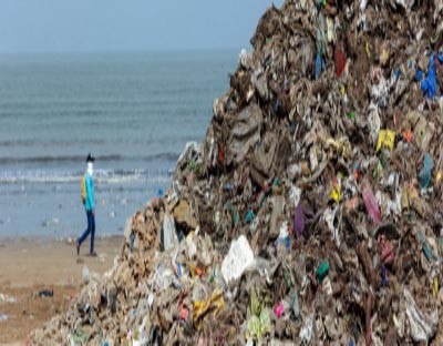 TN forest dept collects 100 kg of plastic waste from Krusadai island