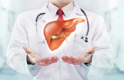 How excess sugar consumption causes fatty liver