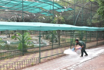 Hyderabad Zoo drops 'Komaram Bheem' name for newborn gaur after row