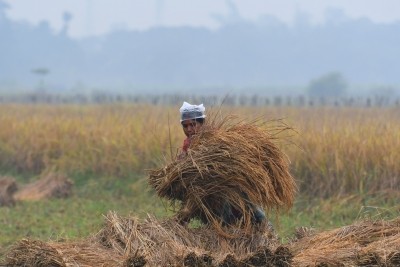 PMK says hike in minimum support price for paddy not sufficient