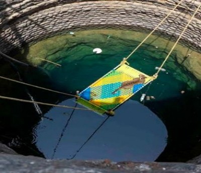 Male leopard rescued from 45-feet deep well with 'charpoy'