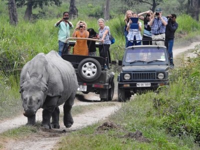 Over 64% tourists' increase in Assam's Kaziranga national park