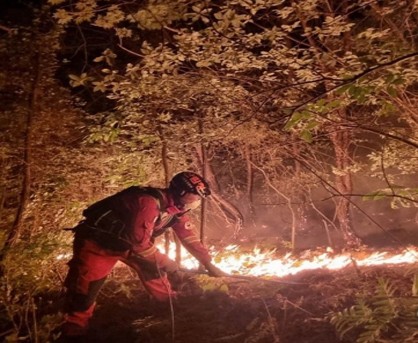 Wildfire continues for 3rd day in S.Korea