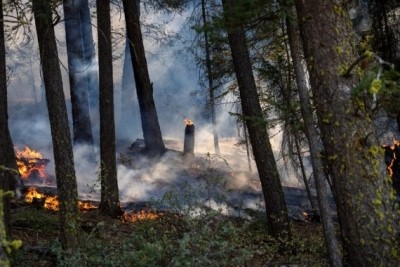 Wildfires rage in Catalonia as heatwave continues to hit Spain