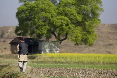 IFAD partners with Uttarakhand to double rural incomes, build climate resilient state