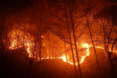 S.Korea vows all-out efforts to put out wildfire