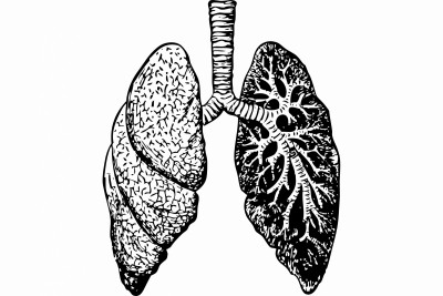 IISc researchers develop new, faster way to detect TB