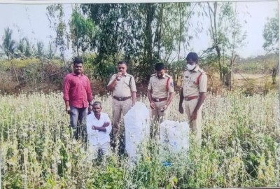 2 held in T'gana for illegal cultivation of opium poppy straw