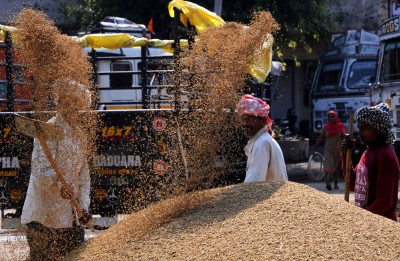 Irregularities in paddy procurement in Maha referred to CBI: Govt