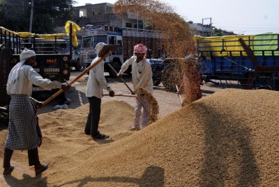 Wheat exports gets fresh push as war unsettles global supply dynamics