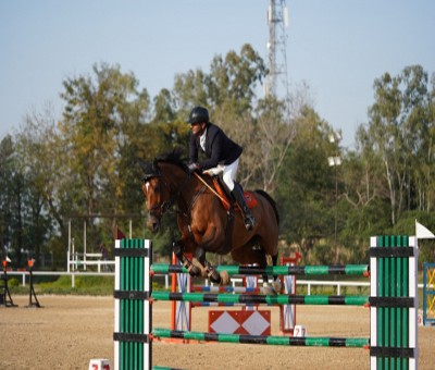 Equestrian: Sehaj Singh Virk wins Show Jumping title