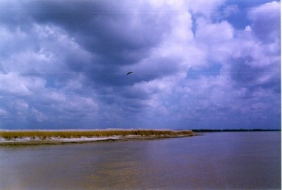 Bengal ups Ganga vigil to block floating bodies