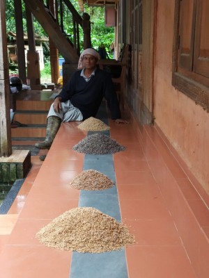 Teacher-turned-farmer creates 'paddy art' to promote farming