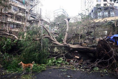 Cyclone Tauktae brings record May rains, leaves trail of destruction in Maha