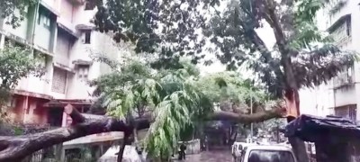 Cyclone Tauktae storms over Mumbai, razes trees, damages homes