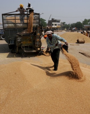 Over 1 lakh MT of food grains given to over 2 cr in 12 states/UTs: Govt