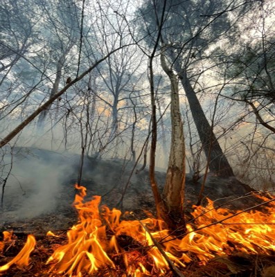 6,000 evacuate as wildfires continue spreading in US's New Mexico