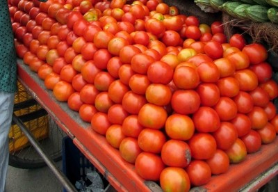 TN introduces mobile processing units in tomato hub Dharmapuri