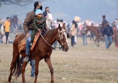 Chennai's Marina beach to set up horse riding school for children