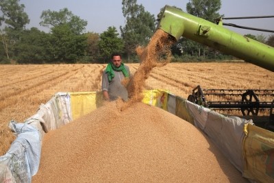 Centre relaxes wheat ban order, allows earlier registered consignments with Customs